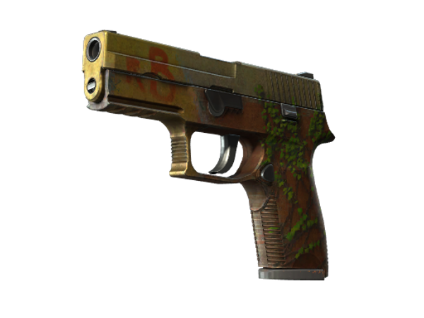 StatTrak™ P250 | Инферно (Закалённое в боях)