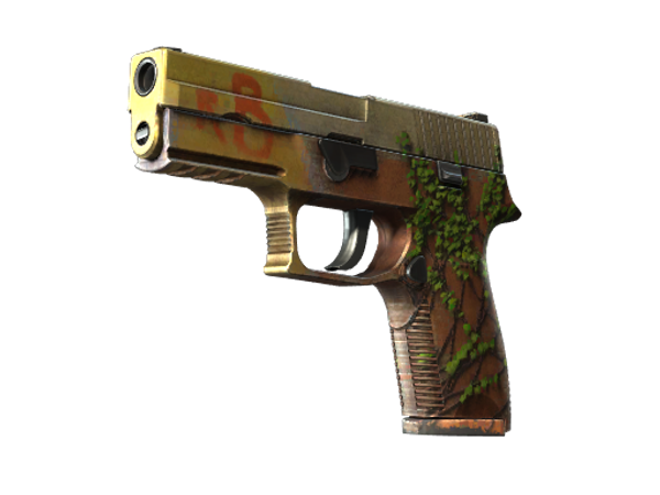 StatTrak™ P250 | Инферно (Поношенное)