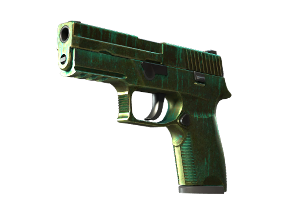 StatTrak™ P250 | Ярь-медянка (Закалённое в боях)