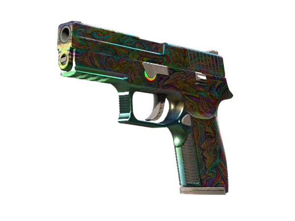StatTrak™ P250 | Visions (Well-Worn)