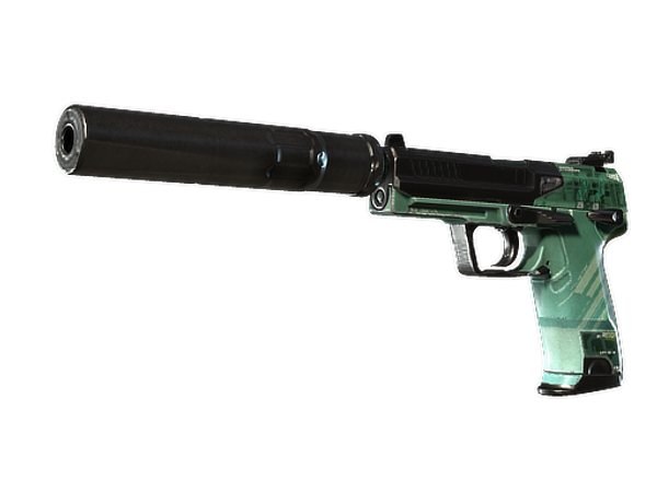 StatTrak™ USP-S | PC-GRN (Field-Tested)