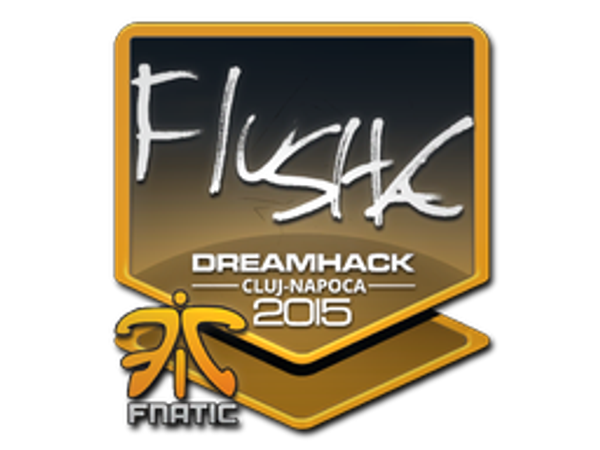 Sticker | flusha | Cluj-Napoca 2015