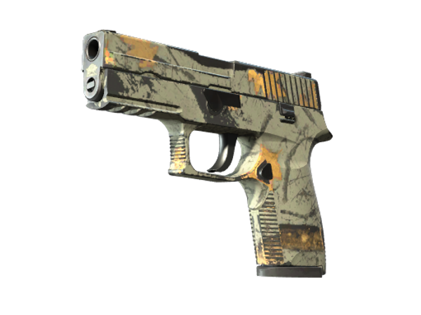 P250 | Современный охотник (После полевых испытаний)