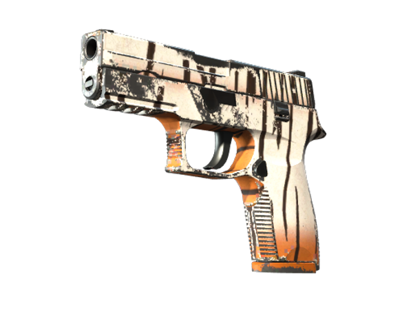 P250 | Бенгальский тигр (После полевых испытаний)