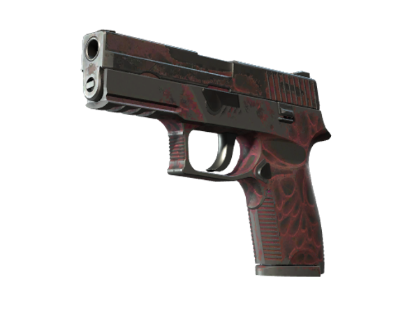 P250 | Загрязнитель (Закалённое в боях)