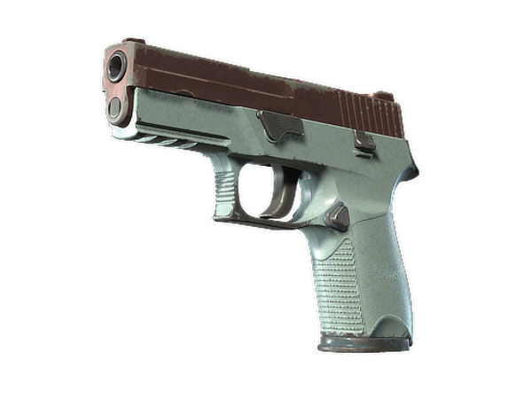 P250 | Copper Oxide (После полевых испытаний)