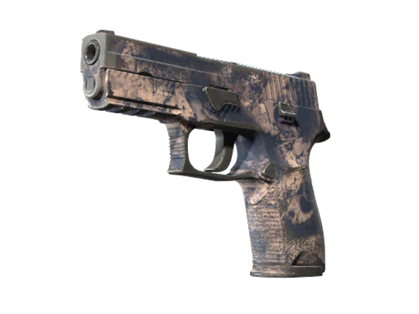 P250 | Безводье (После полевых испытаний)