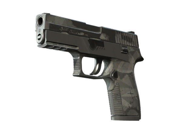 P250 | Грани (Закалённое в боях)