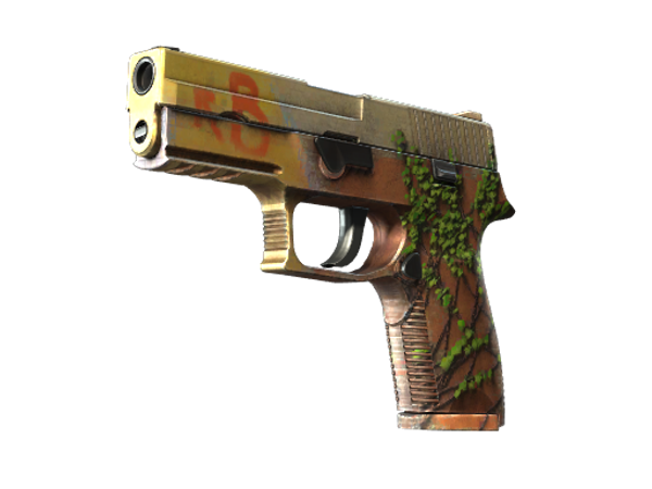 P250 | Инферно (Немного поношенное)