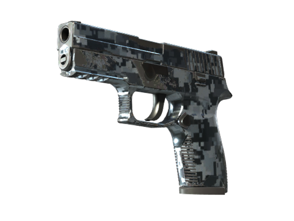 P250 | Ржавая сталь (После полевых испытаний)