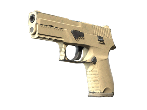 P250 | Sand Dune (Well-Worn)