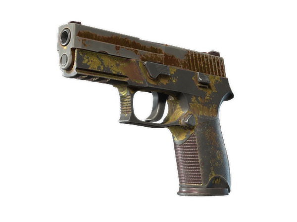 P250 | Sedimentary (Закалённое в боях)