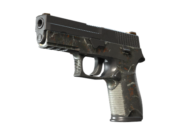 P250 | Мелкая дичь (Закалённое в боях)