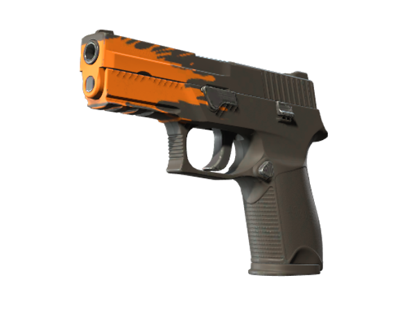 P250 | Пятно (Прямо с завода)