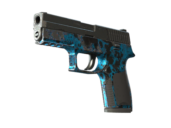 P250 | Цвета прибоя (После полевых испытаний)