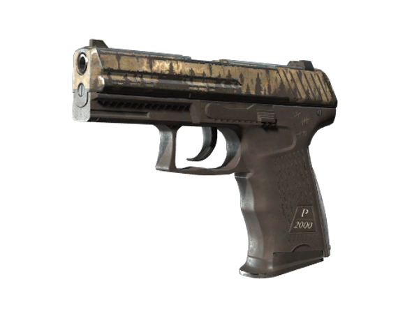 P2000 | Поднятие духов (Закалённое в боях)
