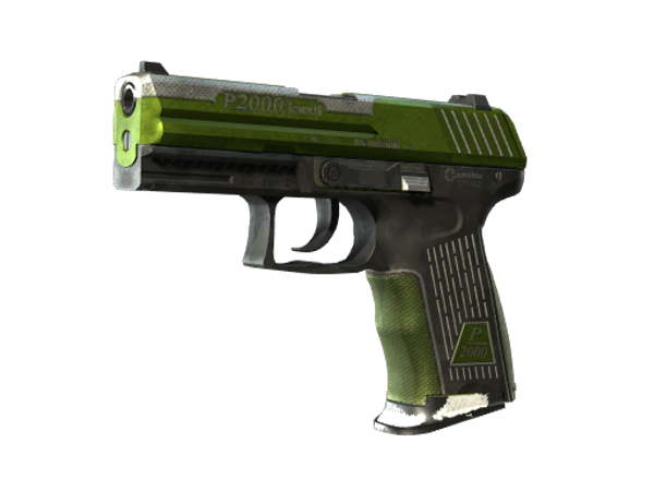 P2000 | Turf (Battle-Scarred)