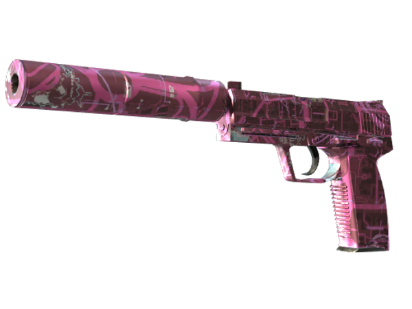 USP-S | Цель найдена (Немного поношенное)